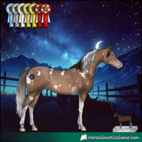 Horse Color:White Spotted Sable Champagne Tobiano Rabicano