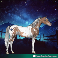 Horse Color:White Spotted Sable Champagne Tobiano Rabicano