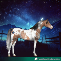Horse Color:White Spotted Sable Champagne Tobiano Rabicano