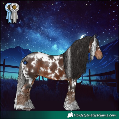 Horse Color:White Spotted Liver Chestnut