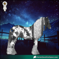 Horse Color:White Spotted Black 