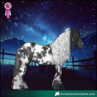 Horse Color:White Spotted Black 