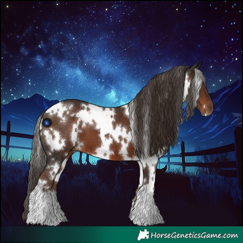 Horse Color:White Spotted Liver Chestnut 