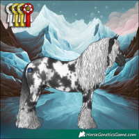 Horse Color:White Spotted Black