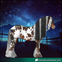 Horse Color:White Spotted Liver Chestnut 