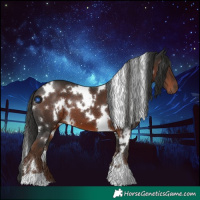 Horse Color:White Spotted Liver Chestnut 