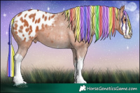 Horse Color:Painted White Spotted Silver Bay Appaloosa