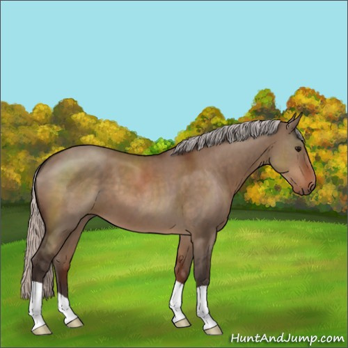 Horse Color:Silver Brown Dun 