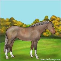 Horse Color:Silver Brown Dun 