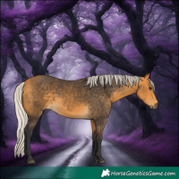 Horse Color:Silver Buckskin 