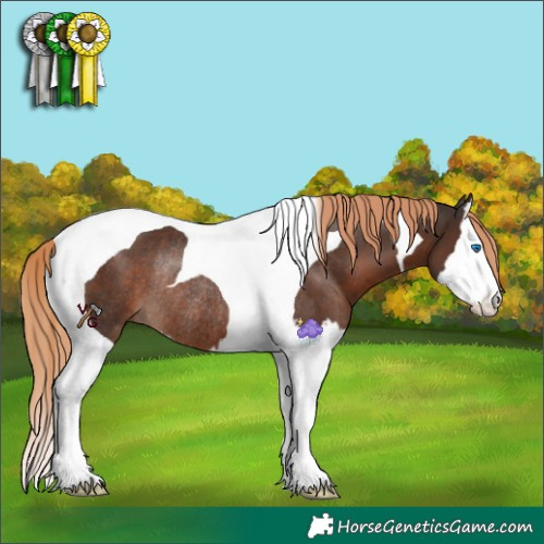Horse Color:Liver Chestnut Splash Tobiano Rabicano