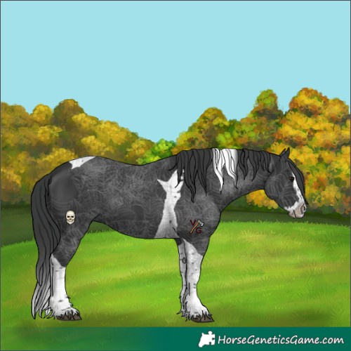 Horse Color:Black Splash Tobiano 