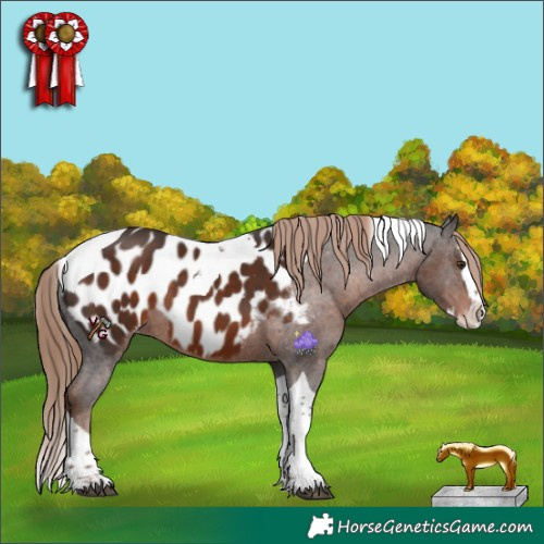 Horse Color:Liver Chestnut Splash Tobiano Near Leopard Rabicano 