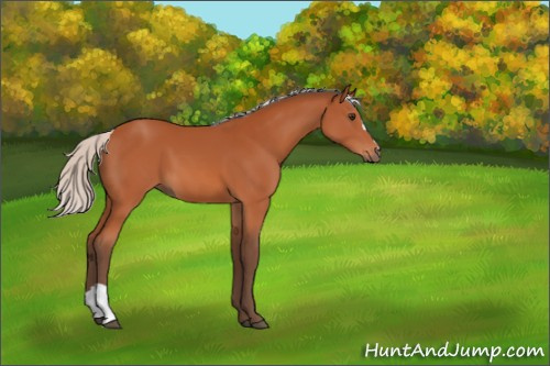 Horse Color:Silver Brown 