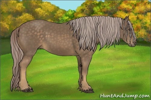 Horse Color:Chocolate Palomino 