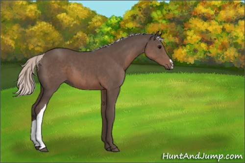 Horse Color:Silver Black 