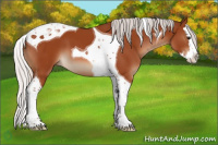 Horse Color:Silver Bay Splash Tobiano 
