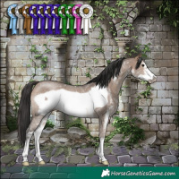 Horse Color:Brown Dun Sabino Frame Rabicano 