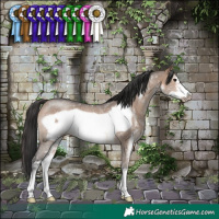 Horse Color:Brown Dun Sabino Frame Rabicano 