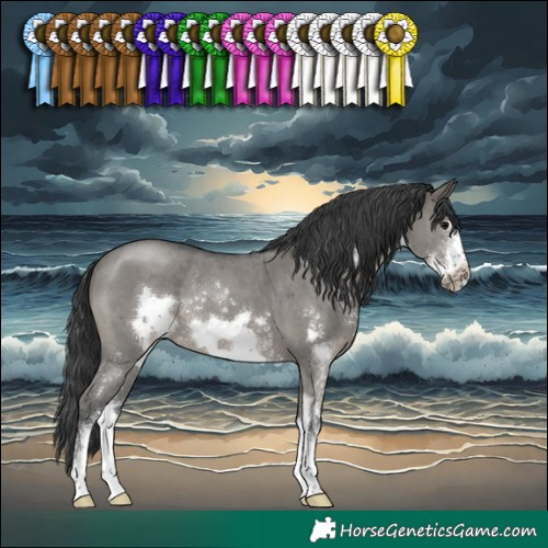 Horse Color:Grullo Sabino Frame Rabicano 