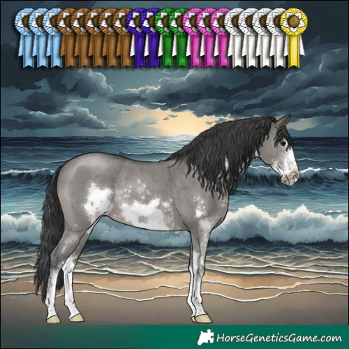 Horse Color:Grullo Sabino Frame Rabicano