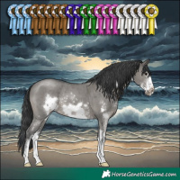 Horse Color:Grullo Sabino Frame Rabicano