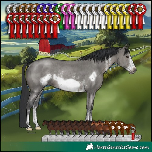 Horse Color:Grullo Sabino Frame Rabicano