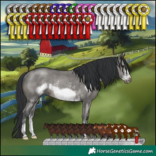 Horse Color:Grullo Sabino Frame Rabicano