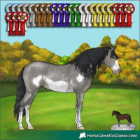 Horse Color:Grullo Sabino Frame Rabicano