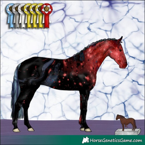 Horse Color:ERROR: UNKNOWN ANOMALY