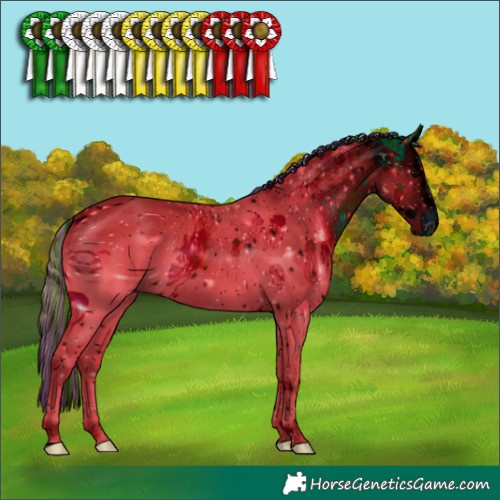 Horse Color:ERROR: UNKNOWN ANOMALY