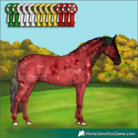 Horse Color:ERROR: UNKNOWN ANOMALY