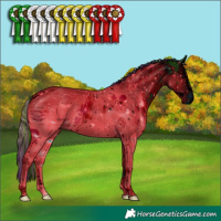 Horse Color:ERROR: UNKNOWN ANOMALY