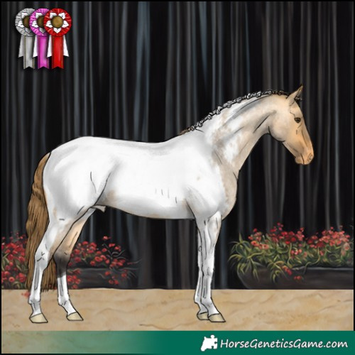 Horse Color:Buckskin Roan Dun Tobiano Snowcap