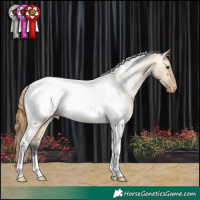 Horse Color:Buckskin Roan Dun Tobiano Appaloosa