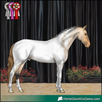 Horse Color:Buckskin Roan Dun Tobiano Snowcap