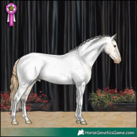 Horse Color:Buckskin Roan Dun Tobiano Appaloosa