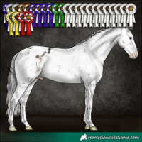 Horse Color:White Spotted Buckskin Sabino Snowflake Varnish 