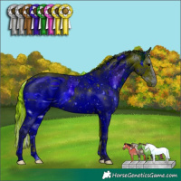 Horse Color:ERROR: UNKNOWN ANOMALY
