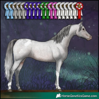 Horse Color:Brown Roan Tobiano Appaloosa