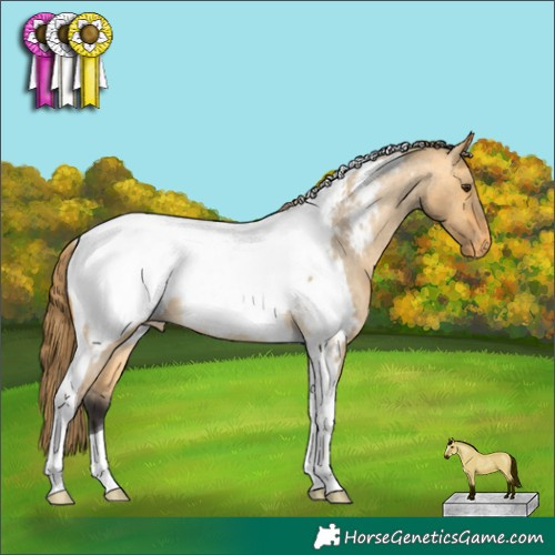 Horse Color:Buckskin Roan Dun Tobiano Appaloosa 