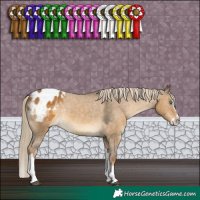 Horse Color:Chocolate Palomino Dun Splash Tobiano Varnish Rabicano 