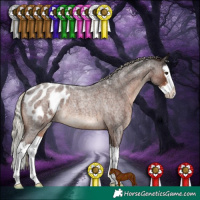 Horse Color:Liver Red Roan Sabino Splash Blanket Rabicano 