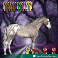 Horse Color:Liver Red Roan Sabino Splash Appaloosa Rabicano 