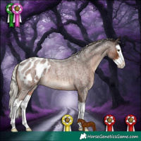 Horse Color:Liver Red Roan Sabino Splash Appaloosa Rabicano