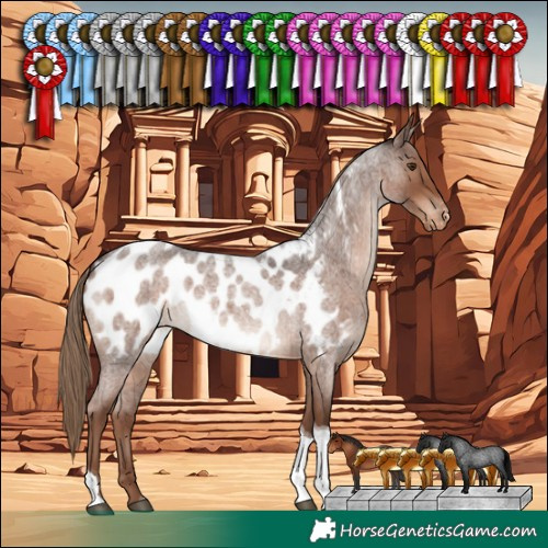 Horse Color:Liver Red Roan Tobiano Blanket Rabicano 
