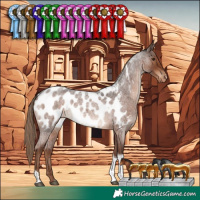 Horse Color:Liver Red Roan Tobiano Appaloosa Rabicano 