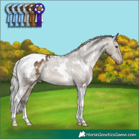 Horse Color:White Spotted Silver Brown Dun Tobiano Appaloosa 