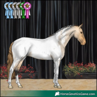 Horse Color:Buckskin Roan Dun Tobiano Snowcap