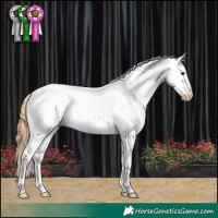 Horse Color:Buckskin Roan Dun Tobiano Appaloosa